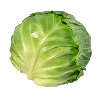 cabbage (3)-4474944-73850.webp